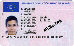 Front driving license