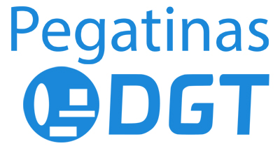 DGT Pegatina Ambiental oficial autorizada - Distintivo  medioambientaloficial homologado y oficial de la DGT para turismo,  personalizado con los datos